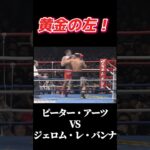 名勝負 ピーター・アーツ vs ジェロム・レ・バンナ K-1 GP’99 #k1  #k1wgp