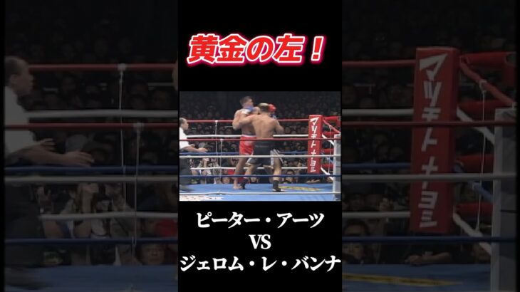 名勝負 ピーター・アーツ vs ジェロム・レ・バンナ K-1 GP’99 #k1  #k1wgp