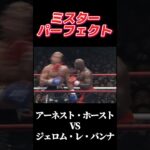 名勝負 アーネスト・ホースト vs ジェロム・レ・バンナ K-1 Grand Prix ’99 #k1  #k1wgp