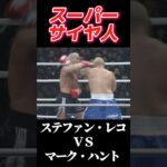 名勝負 ステファン・レコ vs マーク・ハント K-1 WORLD GP 2002 #k1