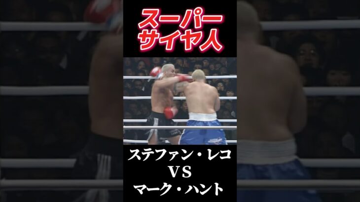 名勝負 ステファン・レコ vs マーク・ハント K-1 WORLD GP 2002 #k1