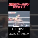 名勝負 レイ・セフォー vs メルヴィン・マヌーフ K-1 WORLD GP 2006 #k1