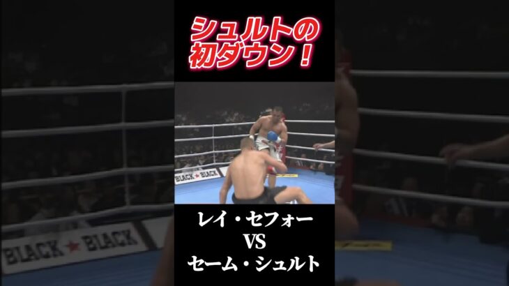 名勝負 レイ・セフォー vs セーム・シュルト K-1 WORLD GP 2007 #k1