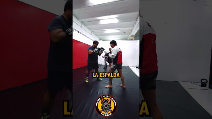 Combo de boxeo para abrir ángulos #mma #kickboxer #kickboxing #boxeo #k1 #muaythai