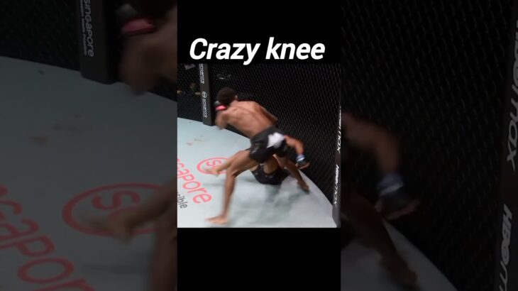 Crazy knee in mma #shorts #mma #onechampionship #combatsports