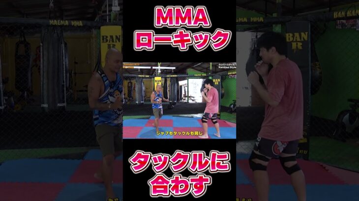 MMAでローキックを蹴る！#ムエタイ