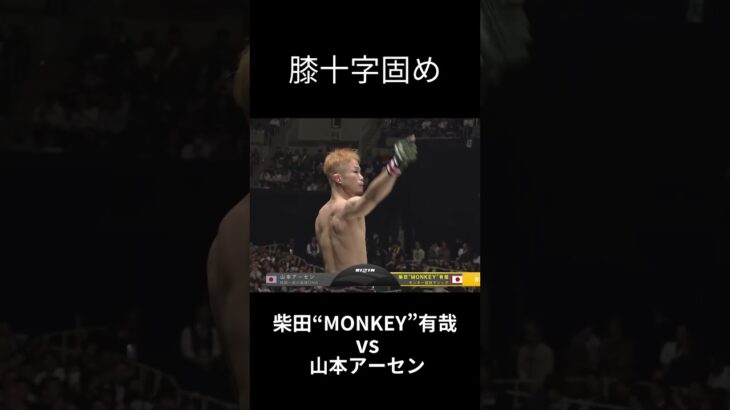 【 膝十字固め】 柴田“MONKEY”有哉 vs. 山本アーセン #格闘技 #rizin #切り抜き  #shorts