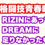 格闘技青春時代。RIZINにあってDREAMに足りなかったもの。