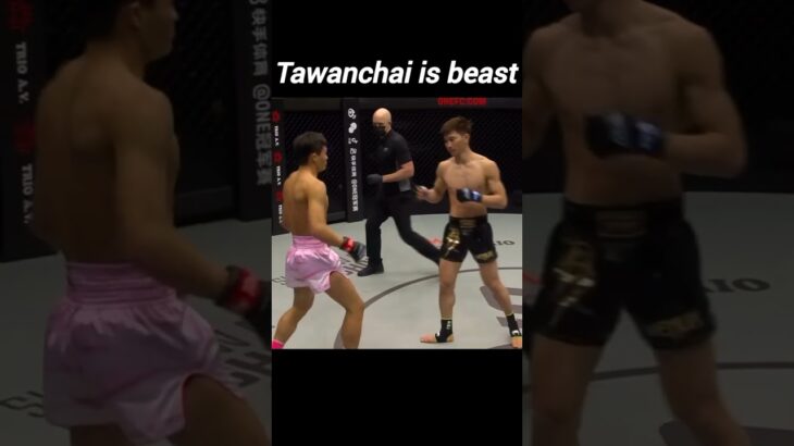 Tawanchai is a beast #shorts #onechampionship #mma #muaythai