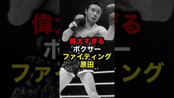 偉大すぎるボクサー ファイティング原田#格闘技#mma#rizin#K‐1#ボクシング