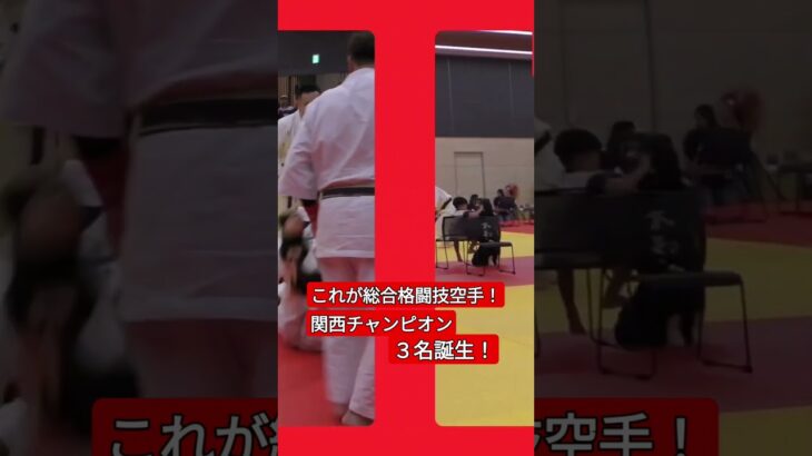 臆病者は目を背ける総合格闘技空手 #武道塾 #総合格闘技