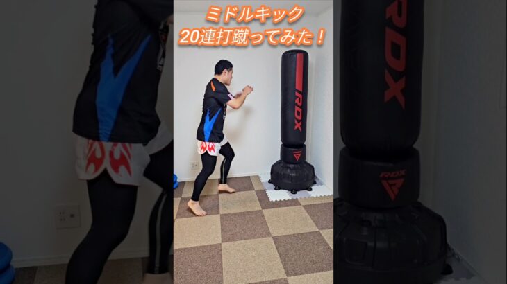 ミドルキックキック20連打蹴ってみた！ #キックボクシング #ムエタイ #格闘技 #kickboxing #muaythai #ミドルキック #shorts