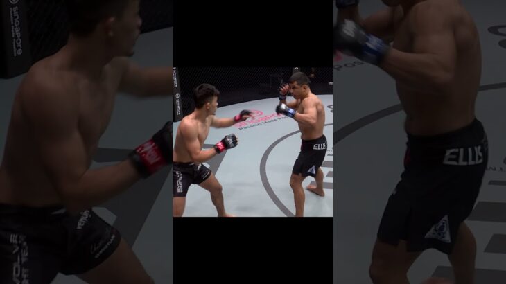 Is Christian Lee the best lightweight not in the UFC? #christianlee #onechampionship