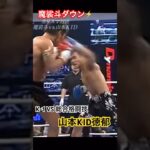 K-1 総合格闘技 魔裟斗 山本KID徳郁 PRIDE MAX RIZIN ベラトール UFC