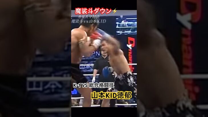 K-1 総合格闘技 魔裟斗 山本KID徳郁 PRIDE MAX RIZIN ベラトール UFC