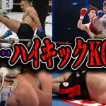 【総集編】ガチでヤバい衝撃のハイキックKO特集【k1/格闘技/KO】