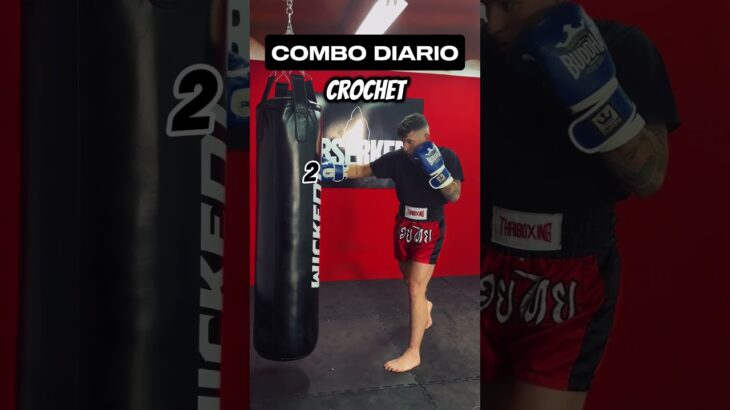 ¡Síguenos para más combos como este!🥊 #mma #striking #muaythai #fighttips #kickboxing #k1 #fighter