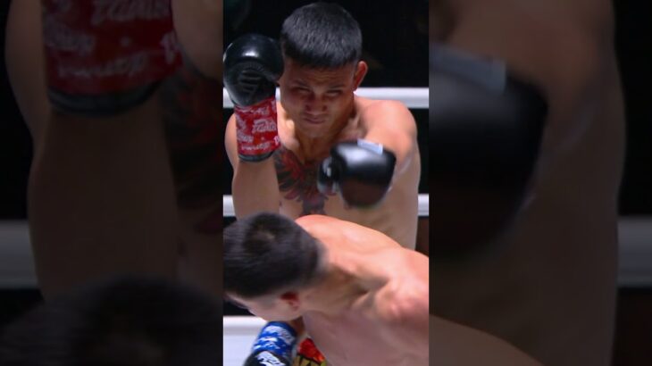 With just one low level kick K.O ! 😬🔥 #võthuật #onechampionship #mma #muaythai