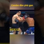 Combo đòn phá gan #onechampionship #mma