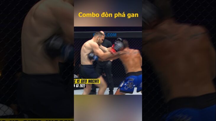 Combo đòn phá gan #onechampionship #mma