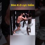 Đòn K.O cực hiểm #onechampionship #mma