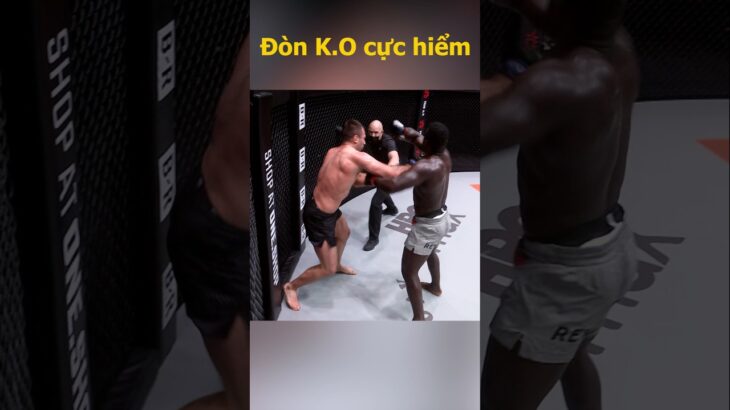 Đòn K.O cực hiểm #onechampionship #mma