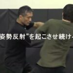 システマ東京 北川貴英【整える威力】バランスの回復を使う崩しの秘訣  HOW TO BREAK DOWN USING SYSTEMA STYLE