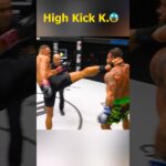 High kick #onechampionship #mma