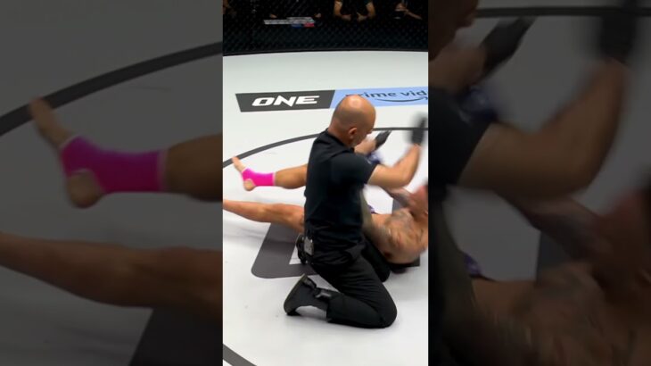 Pourquoi les low kicks sont si efficaces ? #fight #goat #mma #mmafr #one #onechampionship #ufc