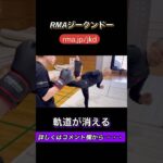 軌道が消える　RMAジークンドー