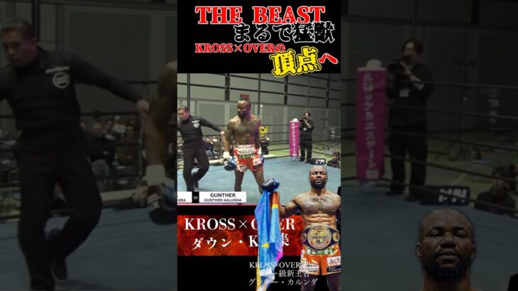 【THE BEAST】衝撃knockout！#krossover #格闘技 #kickboxing #mma #muaithay #キックボクシング