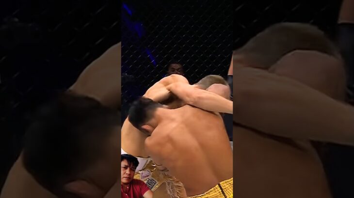 best finishes fighter onechampionship #ufc #mma #muaythai