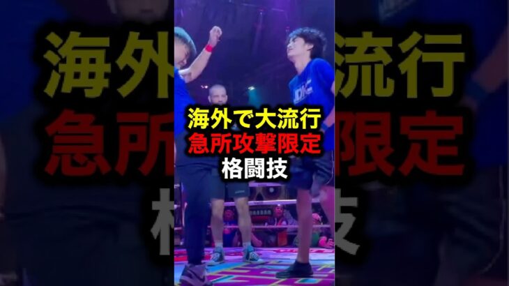 海外で大流行 急所攻撃限定格闘技#格闘技#mma#rizin#ufc#ブレイキングダウン