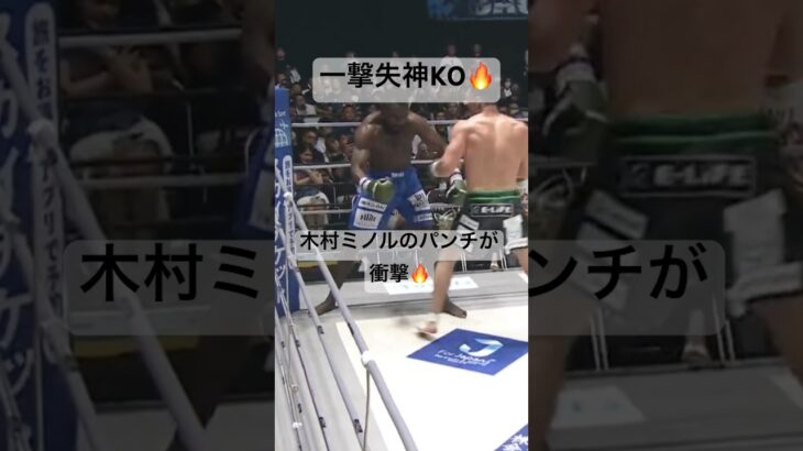 木村ミノルの必殺左フック🔥#rizin #kickboxing #ko #格闘技