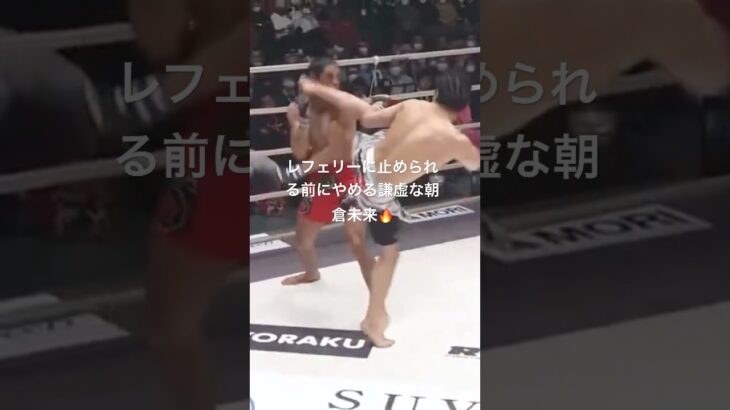 イケイケ時代の朝倉未来選手🔥#格闘技 #rizin #mma #朝倉未来 #ko