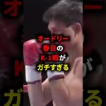 オードリー春日のK-1戦がガチすぎる #格闘技 #ボクシング #k1 #井上尚弥 #雑学