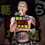 朝倉から逃げる平本蓮#格闘技#mma#rizin#朝倉未来#平本蓮