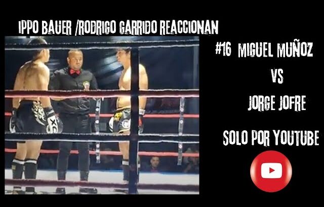 Jorge Jofre vs Miguel Muñoz. Final k1 71 WKF 23. Ippo Bauer Reacciona junto a Rodrigo Garrido: #16