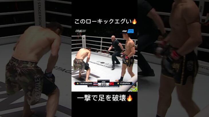 ONEムエタイ王者タワンチャイ🔥#vs #野扖正明 #k1 #one #champion #ko #shorts #格闘技 #キックボクシング