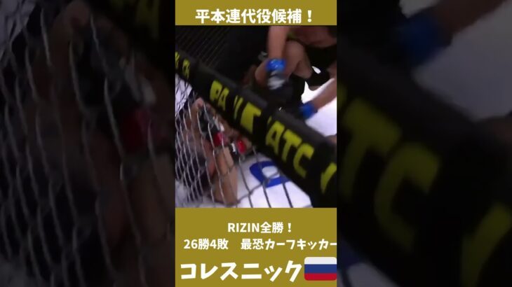 コレスニック！平本連の代役候補！RIZIN無敗！ #mma＃RIZIN #ufc