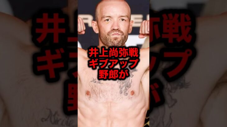 井上尚弥戦後ギブアップ野郎が#格闘技#mma#rizin#ボクシング#井上尚弥